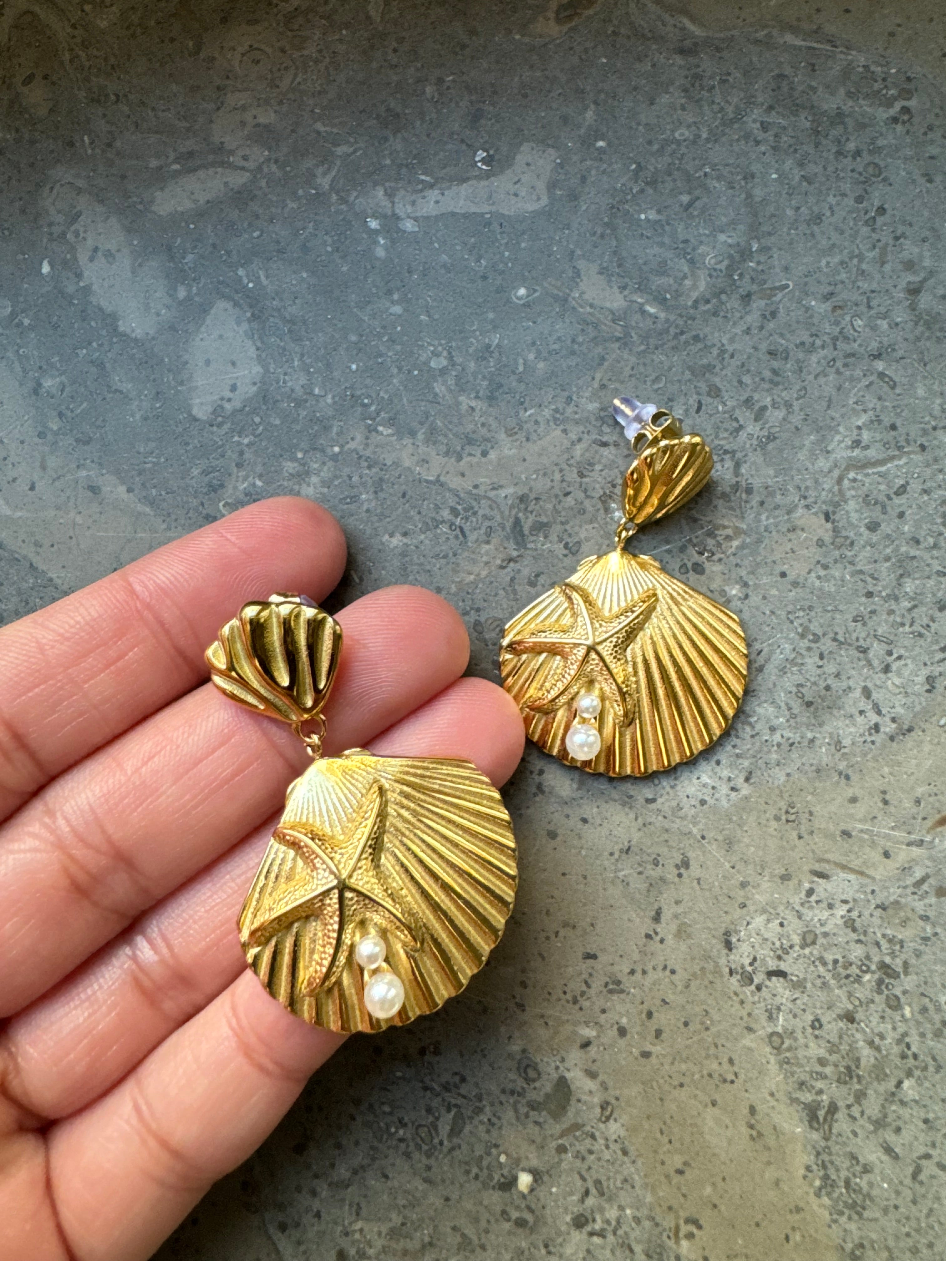 Sea Shell Earrings