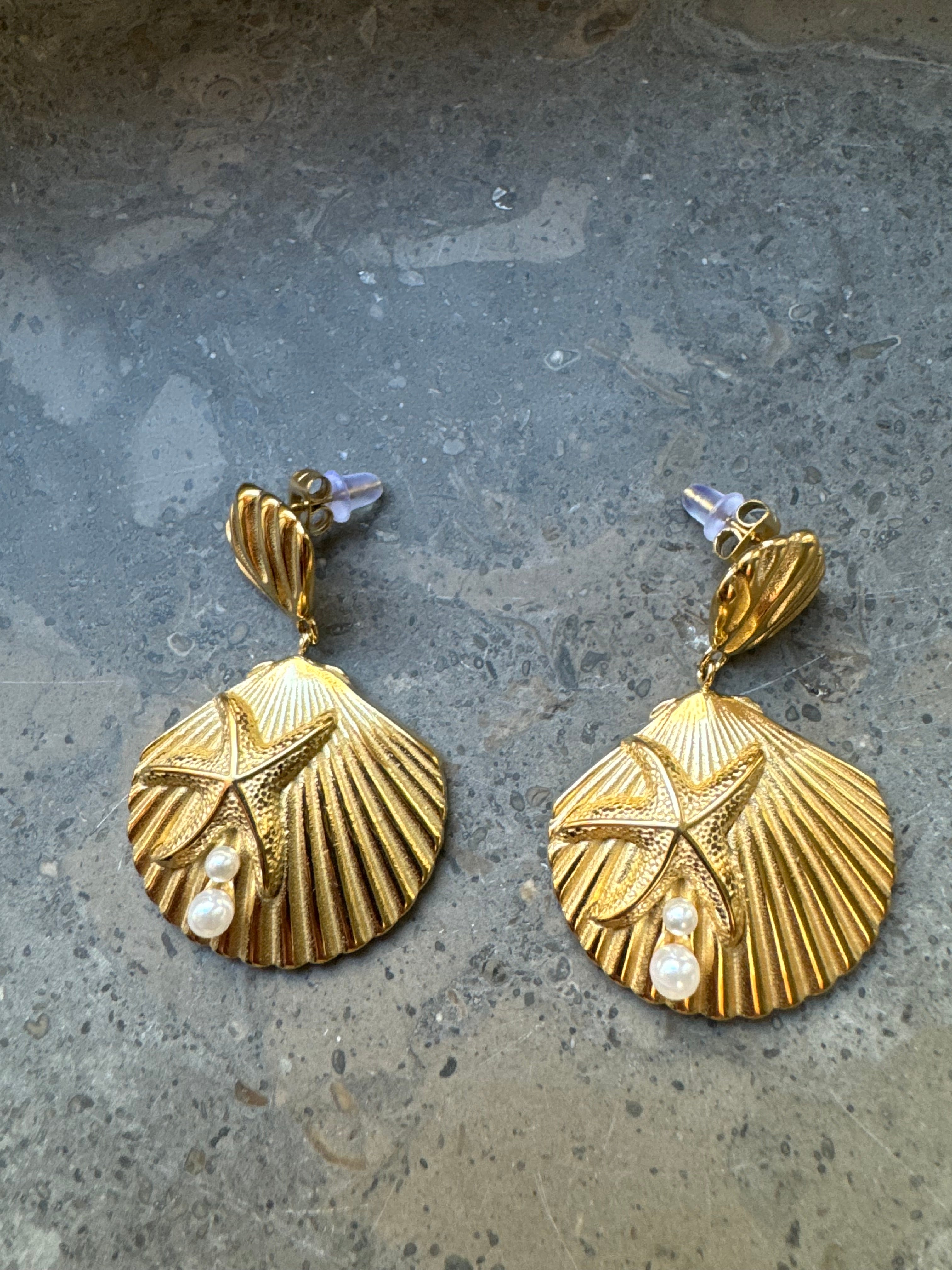Sea Shell Earrings