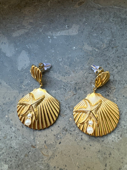 Sea Shell Earrings